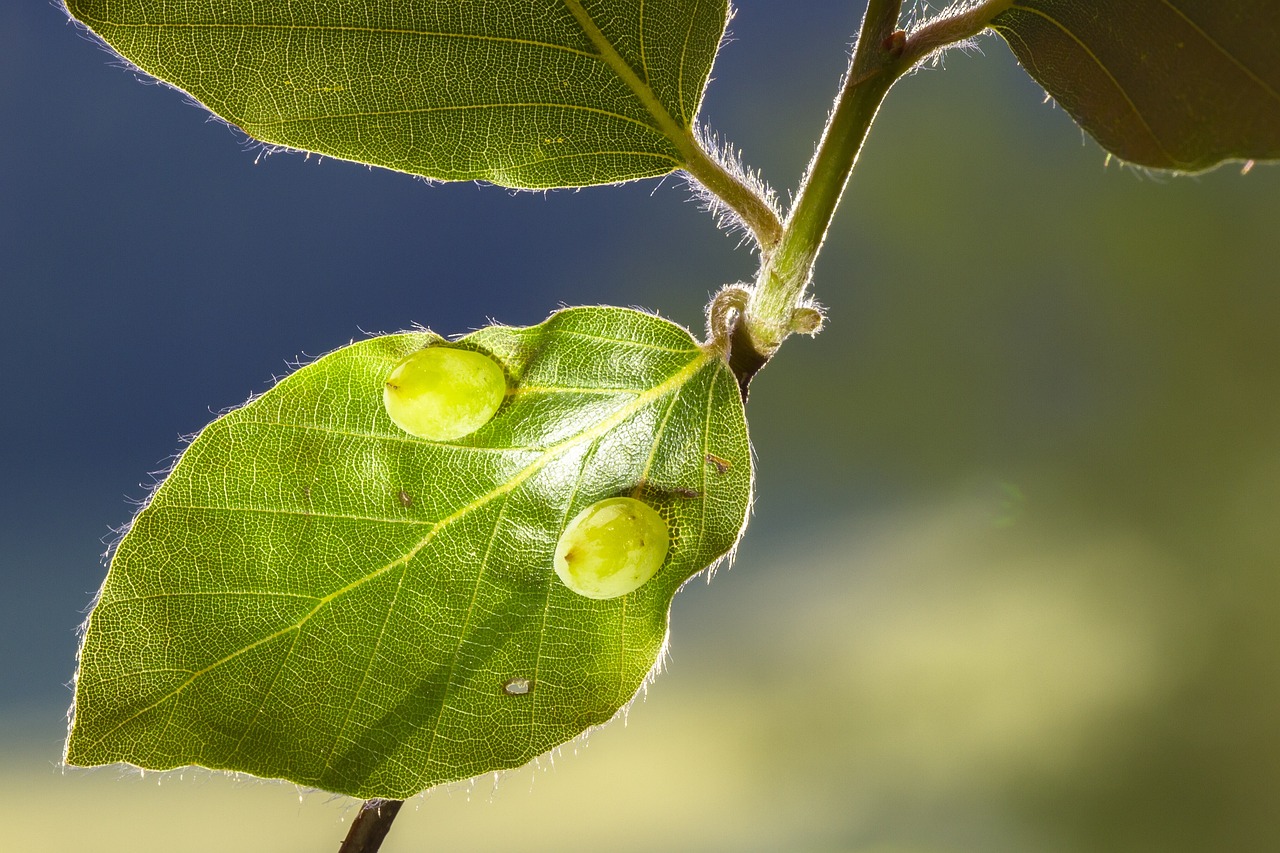 The Importance of Regular Parasite Prevention